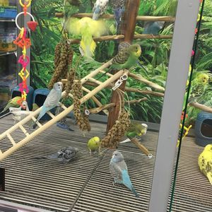 Meet your Posher, Dania